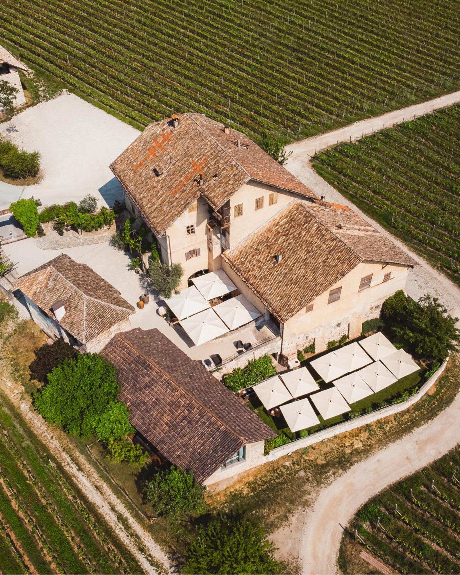 Weinbergsuite Panholzer Caldaro Zewnętrze zdjęcie